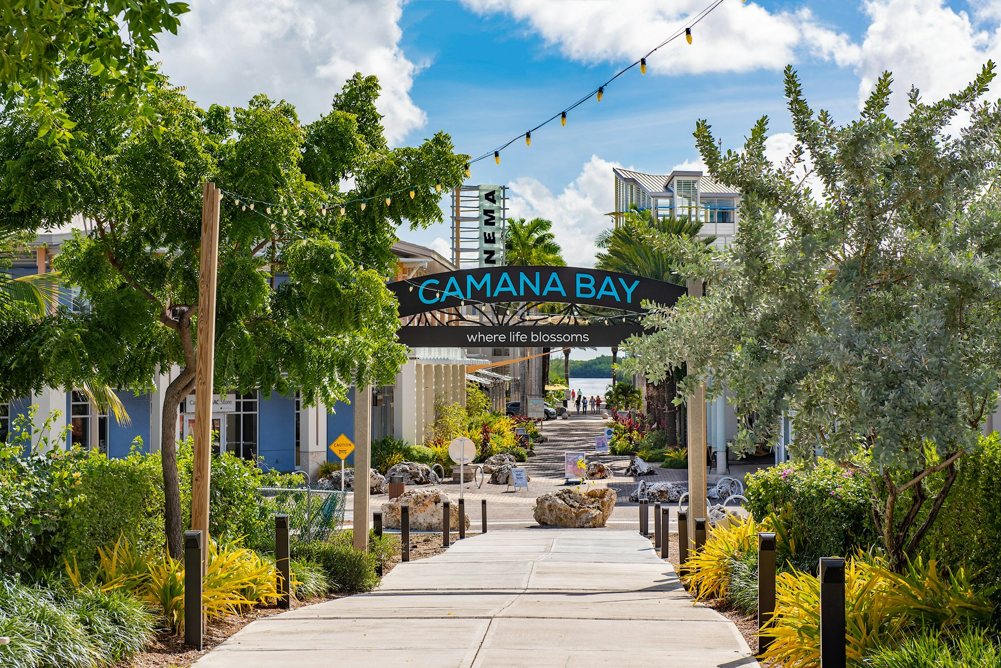 Camana Bay The Rise