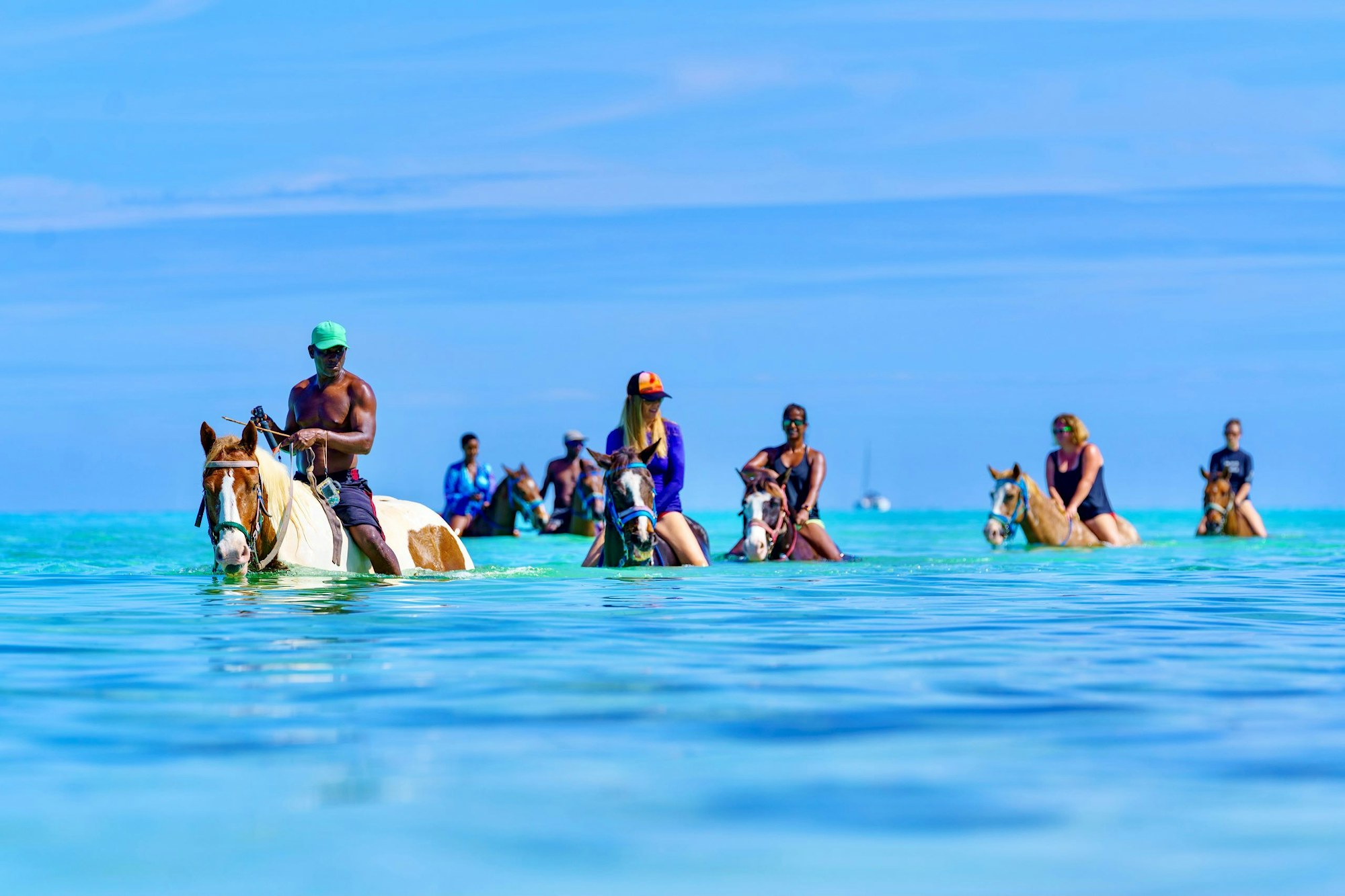 Pampered Ponies