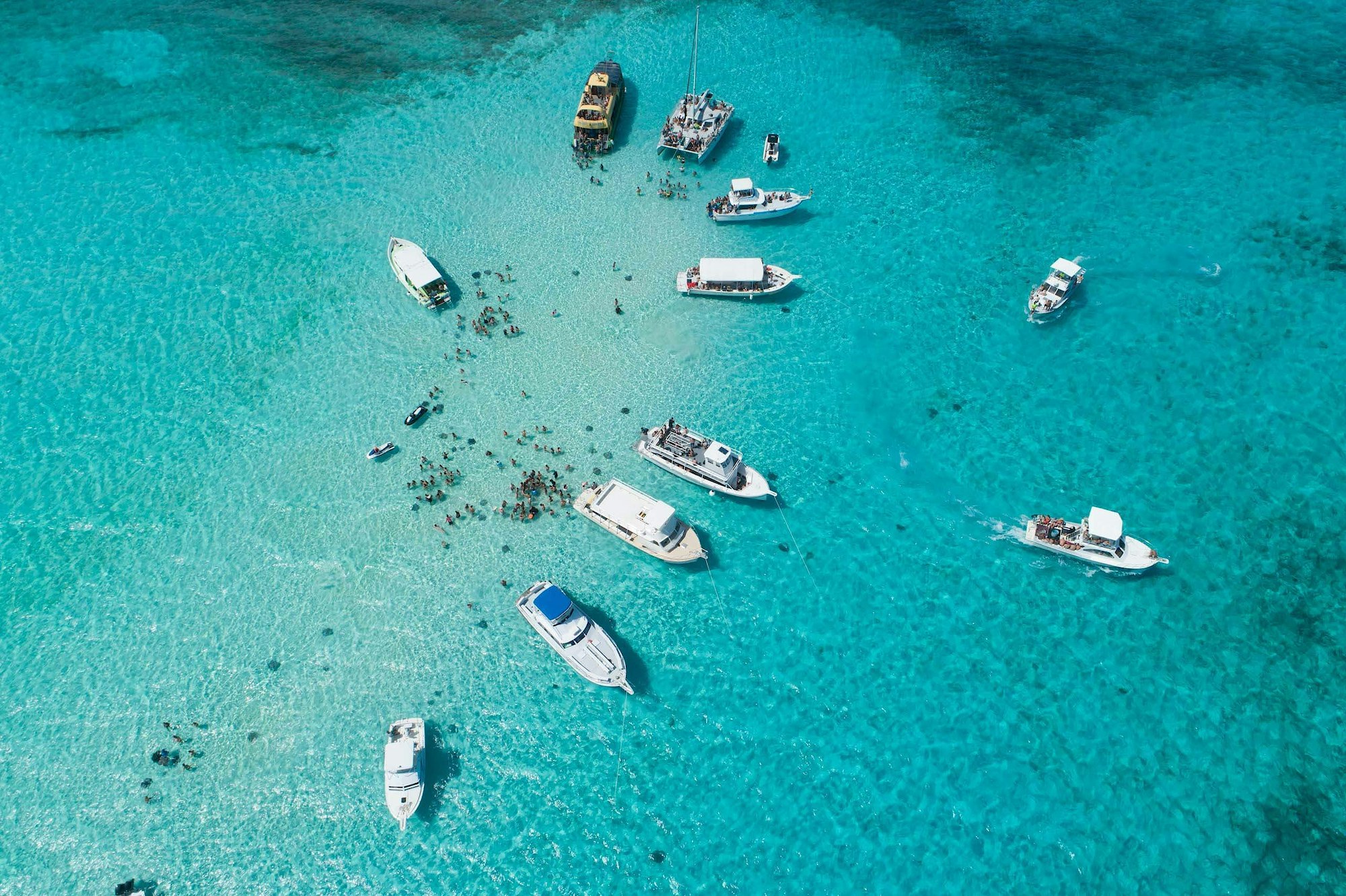 Stingray city aerial center