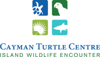 CTC Logo