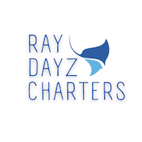 Ray Dayz logo