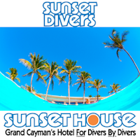 Sunset divers